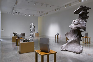Installation photography, Richard Deacon and Sui Jianguo