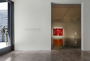 Installation photography, Group Show: Evolver