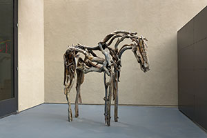 Installation photography, L.A. Louver Celebrates 50 Years: 1975 to Now / Photography by Robert Wedemeyer