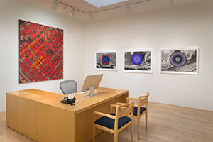 Installation photography, L.A. Louver Celebrates 50 Years: 1975 to Now / Photography by Robert Wedemeyer