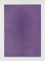 Mary Beyt / 
Untitled (MB69), 1992 / 
oil on canvas / 
84 1/4 x 60 in. (214 x 152.4 cm)
