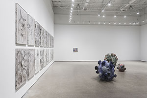 Installation photography, Matt Wedel in <i>Meanwhile</i> at Beeler Gallery at Columbus College of Art & Design