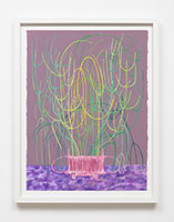 Matt Wedel / 
Potted Plant, 2021 / 
gouache on paper / 
Paper: 30 x 22 1/2 in. (76.2 x 57.2 cm) / 
Framed: 34 1/2 x 26 1/2 in. (87.6 x 67.3 cm) / 
MW21-048