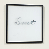 Nancy Reddin Kienholz / 
Sweet - Sour, February 2008 / 
lenticular (mixed media) / 
18 x 18 in. (45.7 x 45.7 cm)