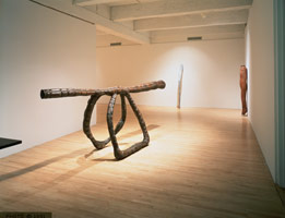 Peter Shelton installation photography, 1991