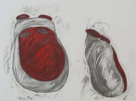 2redbellys, 2011 / 
graphite and gouache on vellum / 
18 x 24 in. (45.7 x 61 cm)
  
