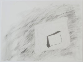 whiteblackslot, 2011 / 
graphite on vellum / 
18 x 24 in. (45.7 x 61 cm)