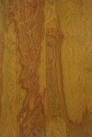 Sharon Ryan / 
124, 2001 / 
acrylic on birch / 
72 x 48 in. (182.9 x 121.9 cm) 