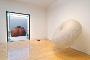 Installation photography / Peter Shelton: eyehand: Selected sculpture from 1975 - 2011 / 
19 November - 30 December 2011