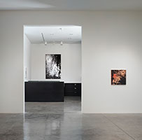 Installation photography / Thom Mayne: Shaping Accident