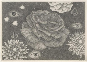Tom Wudl / 
Boundless Oceans of Concentrations, 2009 / 
      graphite on paper / 
      paper: 9 3/8 x 13 in. (23.8 x 33 cm); / 
      framed: 16 x 19 3/8 in. (40.6 x 49.2 cm) / 
      Private collection
