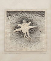 Tom Wudl / 
Universal Virtue, 2010 / 
      pencil and silver leaf collage on vellum paper / 
      image: 4 x 4 in. (10.2 x 10.2 cm)  / 
      sheet: 12 1/2 x 9 1/2 in. (31.8 x 24.1 cm) 