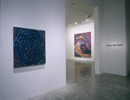 Tony Berlant installation photography, 1999