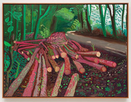 David Hockney  / 
Woldgate Timber, October 12th, 2009, 2009 / 
oil on canvas / 
36 x 48 in. (91.4 x 121.9 cm) / 
Private collection