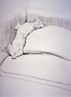 David Hockney  / 
Boodgie, 1993 / 
crayon on paper / 
30 1/4 x 22 1/2 in. (76.835 x 57.15 cm) / 
Private collection