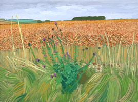 David Hockney / 
Wheat Field Beyond the Tunnel, 16 August 2006, 2006 / 
      Oil on Canvas / 
      Canvas: 36 x 48 in. (91.4 x 121.9 cm) / 
      Framed: 36 5/8 x 48 5/8 in. (93 x 123.5 cm) / 
      Private collection 