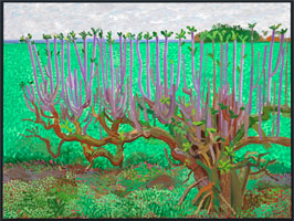 David Hockney  / 
Looking East, 2006 / 
oil on canvas / 
Canvas: 36 x 48 in. (91.4 x 121.9 cm) / 
Framed: 36 3/4 x 48 3/4 in. (93.3 x 123.8 cm) / 
Private collection 