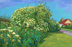 David Hockney  / 
Elderflower Blossom, Kilham, July, 2006 / 
oil on 2 canvases / 
Overall: 48 x 72 in. (121.9 x 182.9 cm) / 
Framed: 49 x 73 in. (124.5 x 185.4 cm) / 
Private collection 