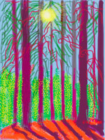 David Hockney / 
Untitled No. 4 from The Yosemite Suite, 2010 / 
iPad drawing painted on paper / 
37 x 28 in. (94 x 71.1 cm) / 
Edition of 25