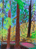 David Hockney / 
Untitled No. 6 from The Yosemite Suite, 2010 / 
iPad drawing printed on paper / 
37 x 28 in. (94 x 71.1 cm) / 
Edition of 25