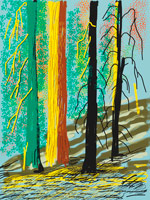 David Hockney / 
Untitled No. 7 from The Yosemite Suite, 2010 / 
iPad drawing printed on paper / 
37 x 28 in. (94 x 71.1 cm) / 
Edition of 25