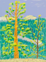 David Hockney / Untitled No. 8 from The Yosemite Suite, 2010 / iPad drawing printed on paper / 37 x 28 in. (94 x 71.1 cm) / Edition of 25