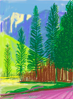David Hockney / 
Untitled No. 12 from The Yosemite Suite, 2010 / 
iPad drawing printed on paper / 
37 x 28 in. (94 x 71.1 cm) / 
Edition of 25