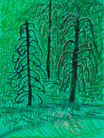 David Hockney / 
Untitled No. 16 from The Yosemite Suite, 2010 / 
iPad drawing printed on paper / 
37 x 28 in. (94 x 71.1 cm) / 
Edition of 25
