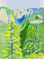 David Hockney / 
Untitled No. 20 from The Yosemite Suite, 2010 / 
iPad drawing printed on paper / 
37 x 28 in. (94 x 71.1 cm) / 
Edition of 25