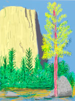 David Hockney / 
Untitled No. 22 from The Yosemite Suite, 2010 / 
iPad drawing printed on paper / 
37 x 28 in. (94 x 71.1 cm) / 
Edition of 25