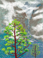David Hockney / 
Yosemite I, October 5th 2011 / 
iPad drawing printed on four sheets of paper, mounted on four sheets of Dibond / 
each panel: 46 1/2 x 35 in. (118.1 x 88.9 cm) / 
overall: 93 x 70 in. (236.2 x 177.8 cm) / 
Edition of 12