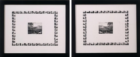 Don Suggs / 
Big Tree Little Tree / Little Tree Big Tree, 1992 / 
2 gelatin silverprint photographs  / 
Each framed: 18 x 22 in. (45.7 x 55.9 cm) 