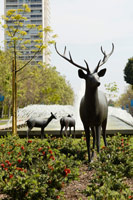Deer 3 AC1, 1999 - 2007 / 
bronze / 
75 x 66 x 34 1/2 in. (190.5 x 167.6 x 87.6 cm)
