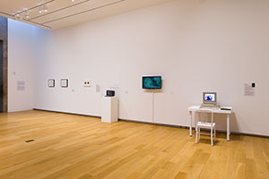 Installation photography, I'll Be Your Mirror: Art and the Digital Screen
