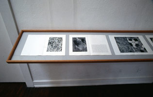 Foirades, Fizzles: Samuel Beckett/Jasper Johns installation photography, 1977