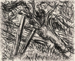 Cherry Tree, Spring, 2003 / 
      charcoal on paper / 
      21.69 x 26.81 in. (55.1 x 68.1 cm) / 
      Private collection 