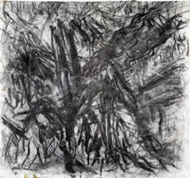 Cherry Tree with Tube Train / 
      charcoal on paper  / 
      20.59 x 22.01 in. (52.3 x 55.9 cm) / 
      Private collection