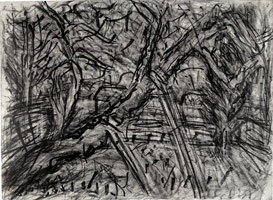 Cherry Tree with Diesel, 2003 / 
      charcoal on paper / 
      22.05 x 29.76 in. (56 x 75.6 cm) / 
      Private collection