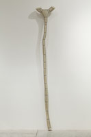 Peter Shelton / 
birthbone, 1991 - 92 / 
mixed media / 
113 x 19 x 7 1/2 in (287 x 48.3 x 19 cm)