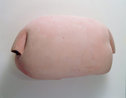 Peter Shelton /  
pinkloaf, 1999 - 2000  /  
mixed media /  
28 x 49 x 23 in (71.12 x 124.46 x 58.42 cm)	