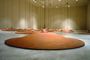 Peter Shelton / 
sixtyslippers, 1997 / 
cast iron / 
60 discs of variable dimensions