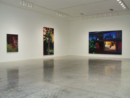 Rebecca Campbell installation photography, 2002