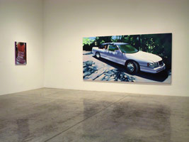 Rebecca Campbell installation photography, 2002