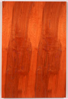 Sharon Ryan / 
128, 2001 / 
acrylic on birch / 
72 x 48 in (182.9 x 121.9 cm) 