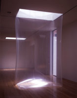 Carlos Mollura / 
Untitled, 2001 / 
polyurethane film / 
152 x 84 x 72 in (386.1 x 213.4 x 182.9 cm) 