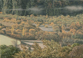 Anderson Valley Creek #1, 2005 / 
      oil on polyester / 
      5 x 7 in. (12.7 x 17.8 cm) / 
      Private collection 