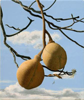Buckeye Seed Pods, 2004 / 
      oil on polyester / 
      6 x 5 in. (15.2 x 12.7 cm) / 
      Private collection 