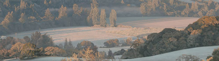 Heavy Frost at Sunrise, 2006  / 
      oil on polyester / 
      8 x 28 in. (20.3 x 71.1 cm) / 
      Private collection