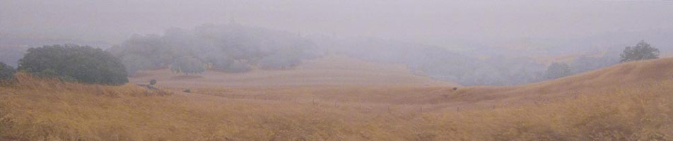Sandra Mendelsohn Rubin / 
Late Summer Fog, 2006 / 
oil on polyester / 
Unframed; 15 x 70 in. (38.1 x 177.8 cm) / 
Framed: 15 7/8 x 70 7/8 in. (40.3 x 180 cm) / 
Private collection 