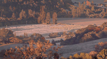Valley View: Winter Frost, 2005 / 
      oil on polyester / 
      4 x 7 1/8 in. (10.2 x 18.1 cm) / 
      Private collection 